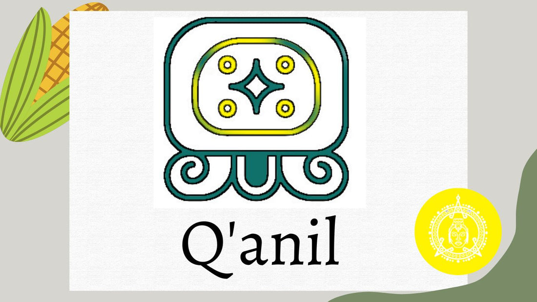 Q'anil - Mayan sprit of  fertility seeds